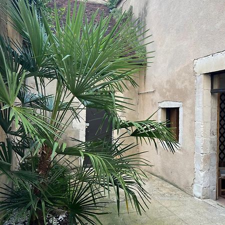 Cosy Appartement Hyper Centre Ville Avec Cour + Patio Auxerre Exterior photo